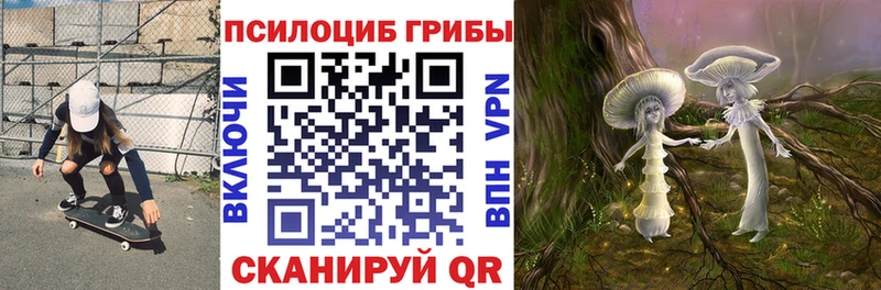 Галлюциногенные грибы Psilocybe Игарка