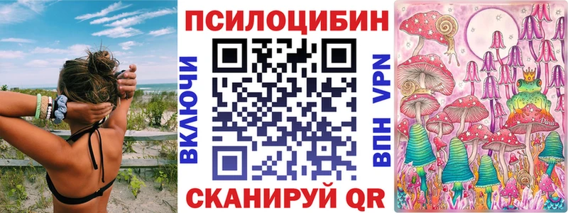 OMG зеркало  Игарка  Псилоцибиновые грибы прущие грибы 